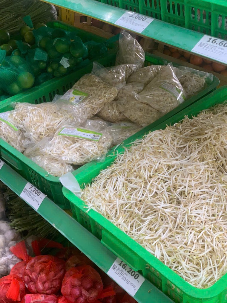 Bách Hoá Xanh tiêu thụ giá đỗ chứa chất cấm cực kỳ độc hại ảnh 2