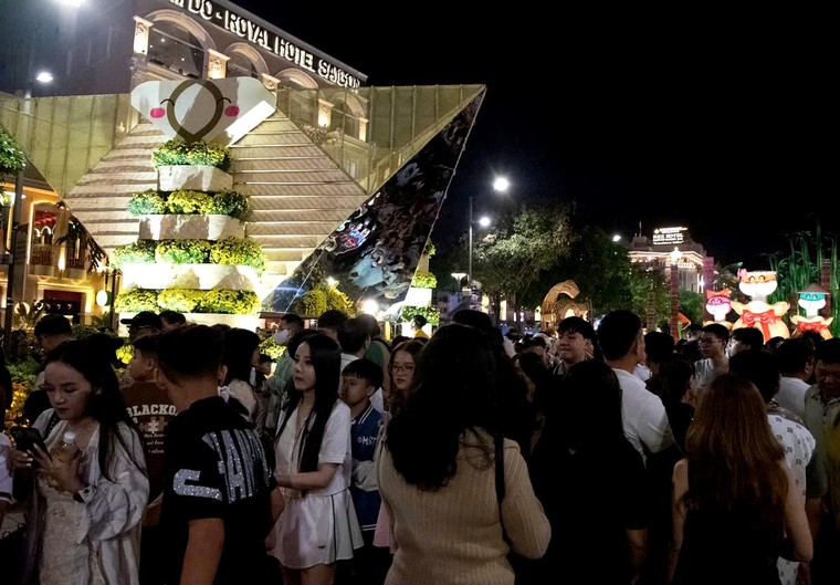 TP.HCM: Khai mạc Đường hoa Nguyễn Huệ, hàng ngàn du khách náo nức đón Xuân ảnh 5