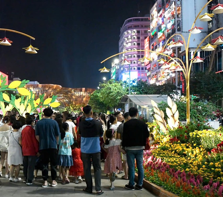 TP.HCM: Khai mạc Đường hoa Nguyễn Huệ, hàng ngàn du khách náo nức đón Xuân ảnh 9