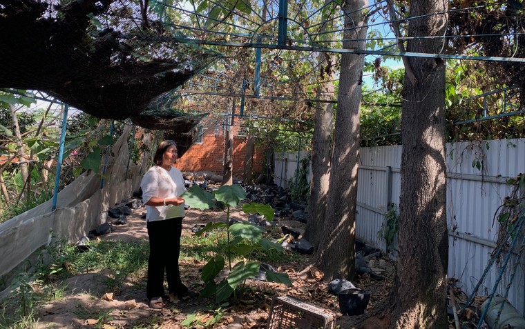 Vụ khách hàng bị mất tiền oan: Hệ thống bảo mật của Vietcombank kém? ảnh 2