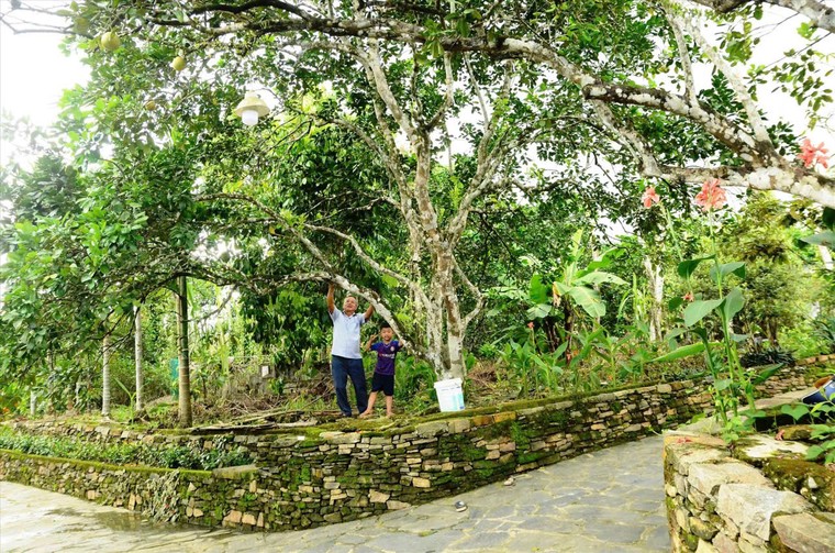 Lộc Yên - Hồn xưa giữa lòng xứ Quảng ảnh 1