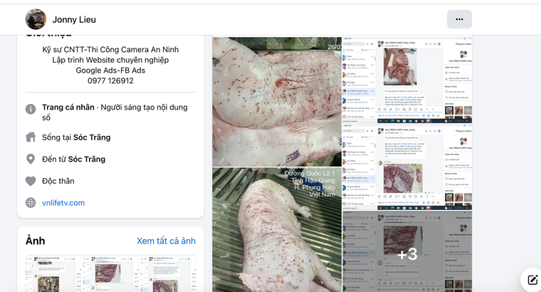 Công ty CP Việt Nam bị tố bán heo bệnh, gà bệnh ảnh 1