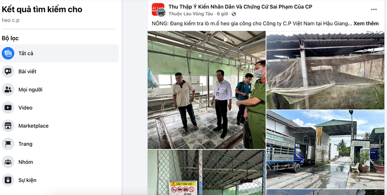 Vụ Công ty CP Việt Nam: Tự tiêu huỷ heo bệnh có đúng pháp luật? ảnh 2