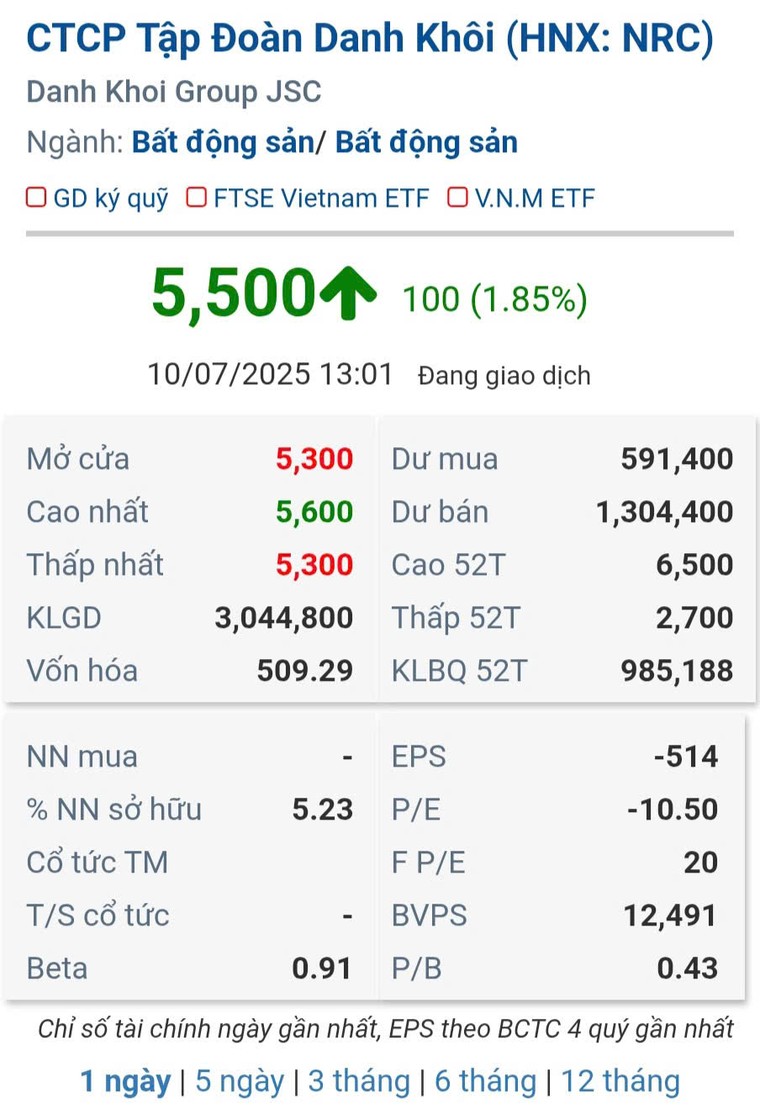 Tập đoàn NRC: Tăng trưởng tham vọng hay rủi ro tiềm ẩn?! ảnh 4