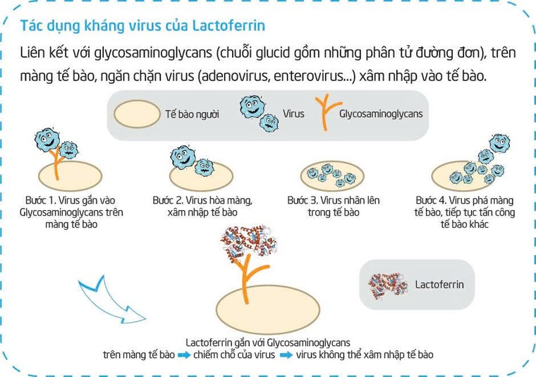 Tìm hiểu loại sữa công thức đang được nhiều mẹ “lùng sục” giúp trẻ khỏe mạnh, ít ốm vặt ảnh 2