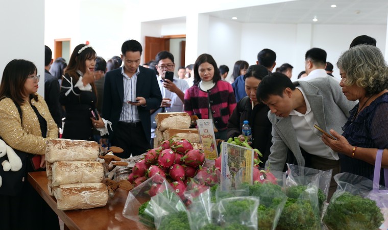 Kết nối nông sản Lâm Đồng – TP.HCM: “Xây thực phẩm sạch, chống thực phẩm bẩn” ảnh 3