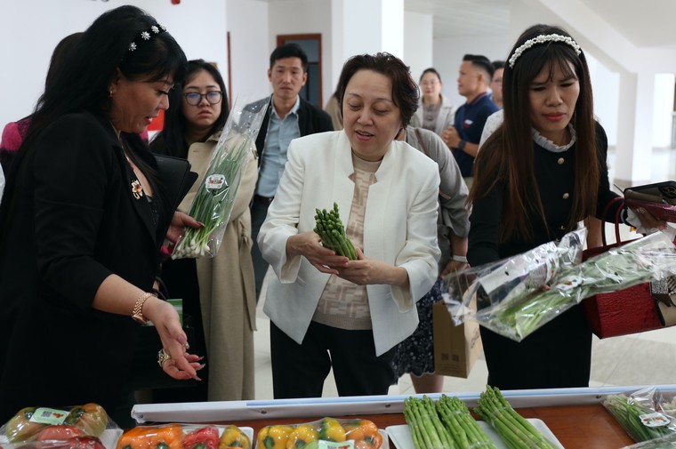 Kết nối nông sản Lâm Đồng – TP.HCM: “Xây thực phẩm sạch, chống thực phẩm bẩn” ảnh 1