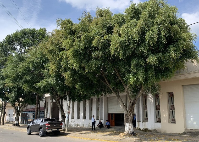 Chi cục THADS TP.Kon Tum bị doanh nghiệp kiện vì nợ hơn 4,1 tỷ đồng tiền bảo vệ ảnh 1