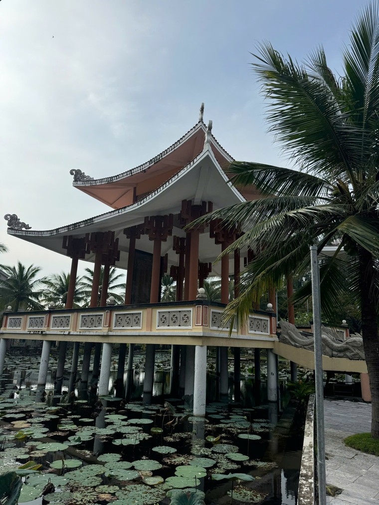 Hội thảo khoa học về di tích Láng Le – Bàu Cò ảnh 2