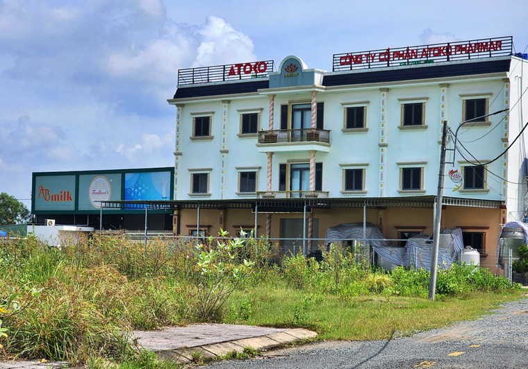 Bất an sữa học đường - Bài 6: Mối quan hệ ‘chằng chịt’ giữa các công ty sản xuất và bán sữa ảnh 4