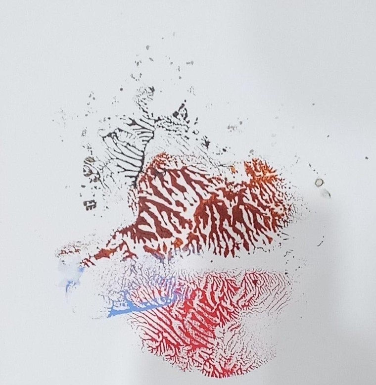 Triển lãm và giao lưu với hai nghệ sĩ người Pháp Matthieu De Oliveira và Jean-Yves Lucas ảnh 1