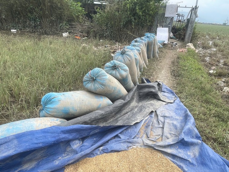 Vùng lũ Phú Yên: “Người giàu” cũng khóc ảnh 4