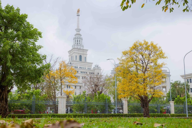 “Bản Concerto” mùa Xuân bất tận tại “Quận Ocean” ảnh 3