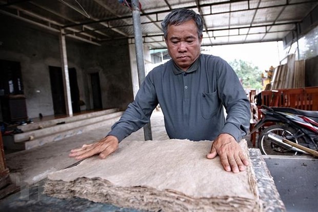 Gìn giữ nghề truyền thống làm giấy dó của người Mường ở Hòa Bình ảnh 1