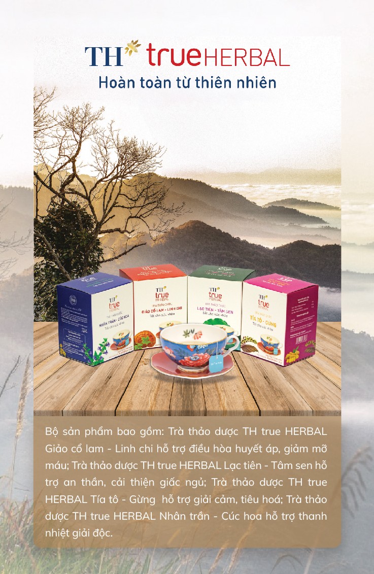 Trà túi lọc TH true HERBAL - chắt lọc và lan tỏa tinh hoa thảo dược Việt ra thế giới ảnh 2