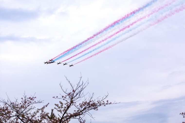 Chùm ảnh: Khai mạc lễ hội hoa Anh đào thường niên lớn nhất ở Seoul ảnh 4