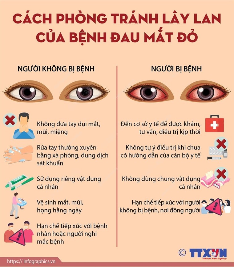 [Infographics] Cách phòng tránh lây lan của bệnh đau mắt đỏ ảnh 1
