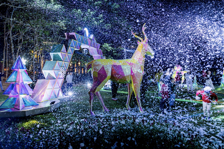 Giáng sinh rực rỡ sắc màu tại “khu rừng pha lê” tuyết trắng Ecopark ảnh 4