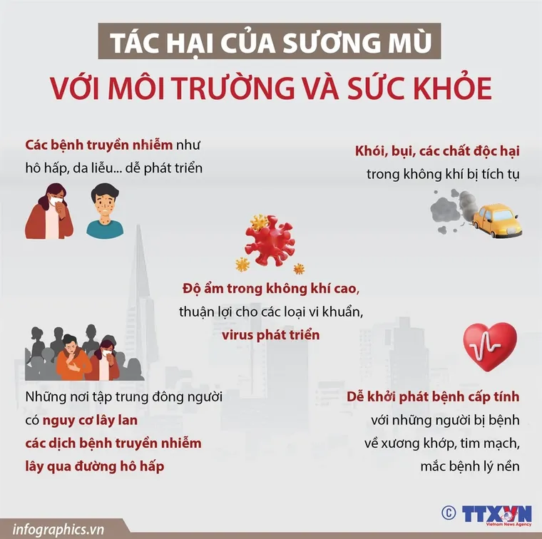 [Infographics] Tác hại của sương mù đối với môi trường và sức khỏe ảnh 1