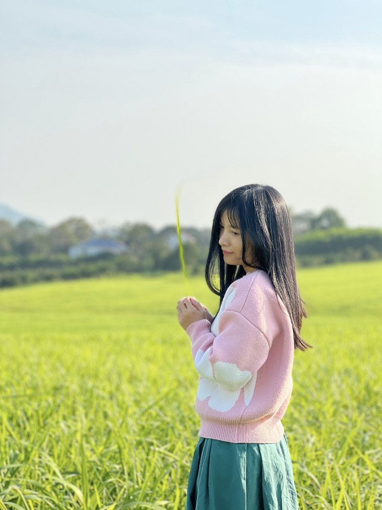 Đồng cỏ rộng hàng ngàn ha mãn nhãn ở Nghệ An “đốn tim” du khách ảnh 5