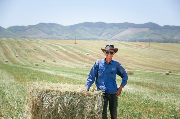 Đồng cỏ rộng hàng ngàn ha mãn nhãn ở Nghệ An “đốn tim” du khách ảnh 11