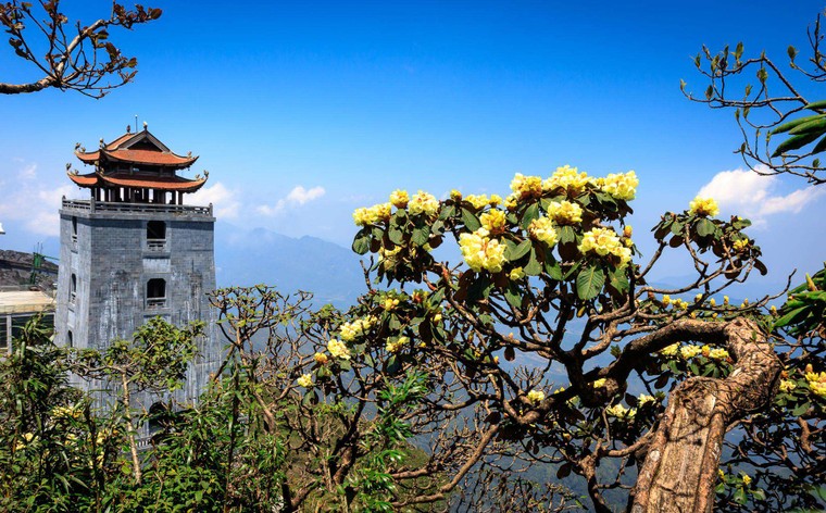 Lễ Vía Quán Thế Âm Bồ Tát đản sinh sẽ diễn ra lần đầu tiên trên đỉnh thiêng Fansipan vào ngày 28/3 ảnh 2