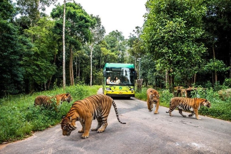 Hiệp hội công ích chung Hàn Quốc ký kết ghi nhớ xúc tiến chương trình phúc lợi tại Vinpearl ảnh 7