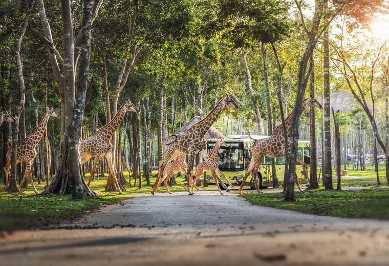 Điều đặc biệt khiến Phú Quốc ngày càng hấp dẫn du khách quốc tế ảnh 2