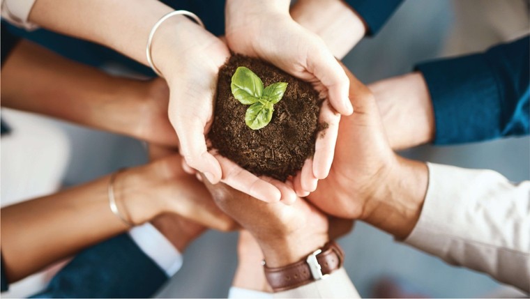 Việc làm xanh – xu hướng trong nền kinh tế bền vững ảnh 3