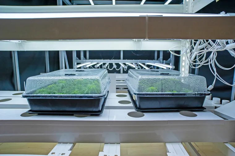 Những quốc gia hình mẫu trong tiến trình sản xuất xanh ảnh 2