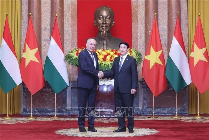 Chủ tịch nước Lương Cường chủ trì lễ đón chính thức Tổng thống Hungary ảnh 1