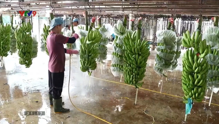 Nông sản Việt và hành trình hướng đến sản xuất xanh bền vững ảnh 3