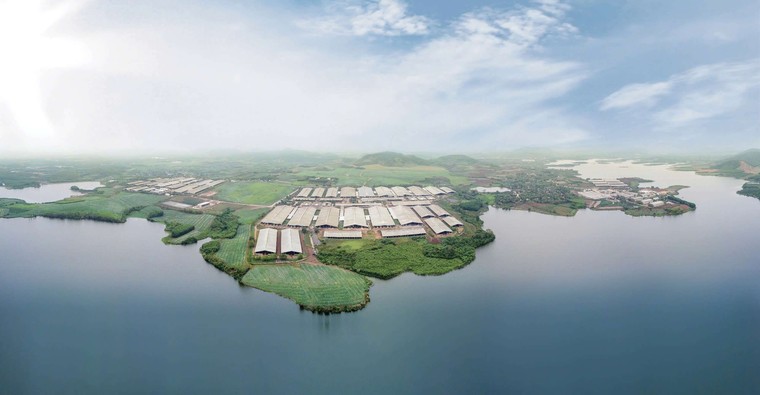 “Việt Nam hoàn toàn có đủ điều kiện để tự chủ nguồn nguyên liệu sữa tươi” ảnh 4