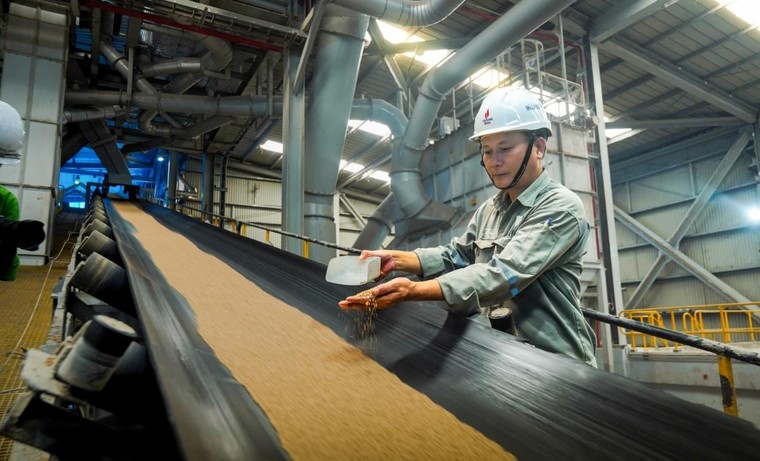 “NPK Phú Mỹ: Triệu tấn kết nối – Cho mùa bội thu” ảnh 1