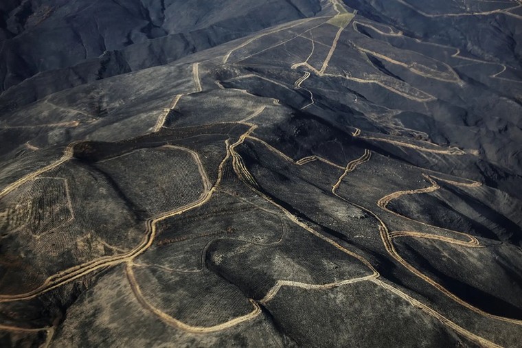 Thế giới 2025 qua ống kính toàn cầu ảnh 11