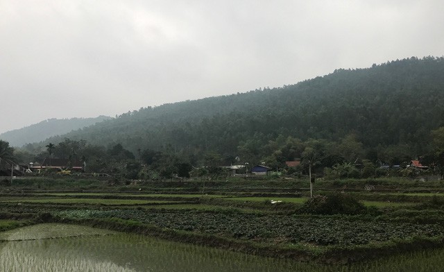 Xây công viên nghĩa trang tại huyện Tam Đảo: Cần cân nhắc kỹ lưỡng ảnh 1