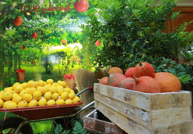 Tập đoàn TH ra mắt đồ uống 100% thảo dược ảnh 6