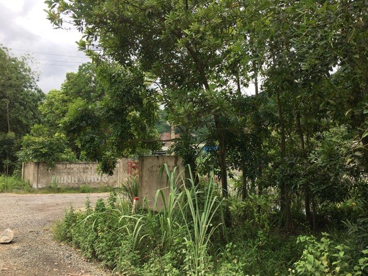 Trở lại vụ quan xã sở hữu tài sản khủng: Cần sự ‘vào cuộc’ của cơ quan chức năng! ảnh 2