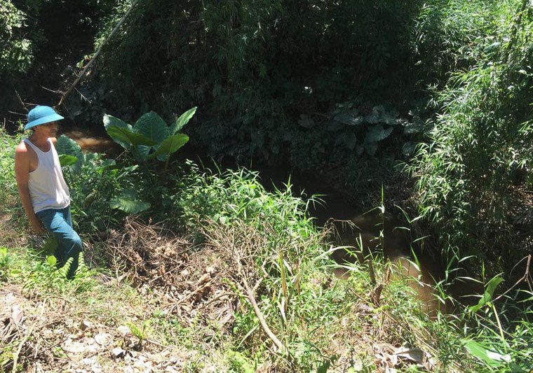 Thừa Thiên Huế: Khu công nghiệp Phong Điền không có hệ thống xử lý nước thải ảnh 1