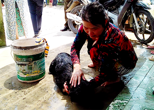 Nhân chứng vụ rò rỉ khí NH3: 'Nhiều người chảy máu, động vật chết la liệt' ảnh 2