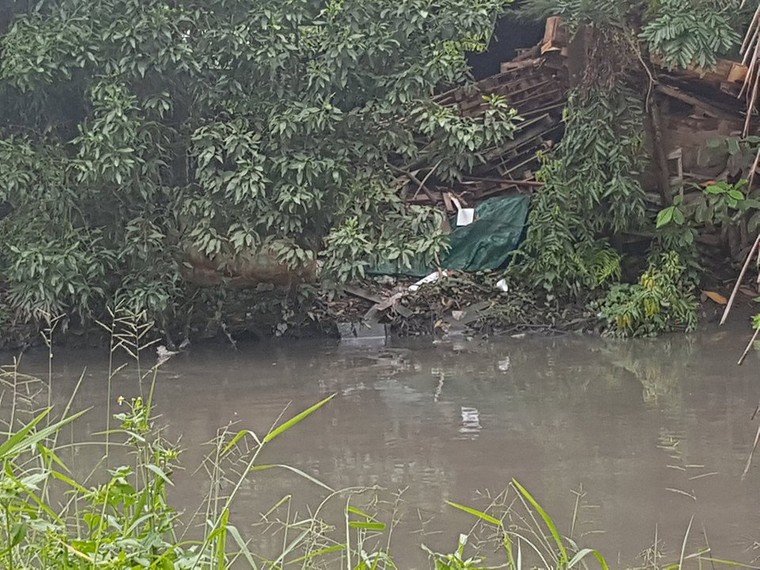 TP.HCM: Xưởng sản xuất ván ép Song Mã xả khói gây ô nhiễm môi trường? ảnh 1