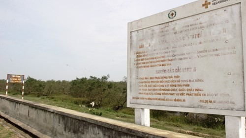 Nghệ An: Rác thải phủ ngập rừng bần ven đê sông Lam ảnh 5