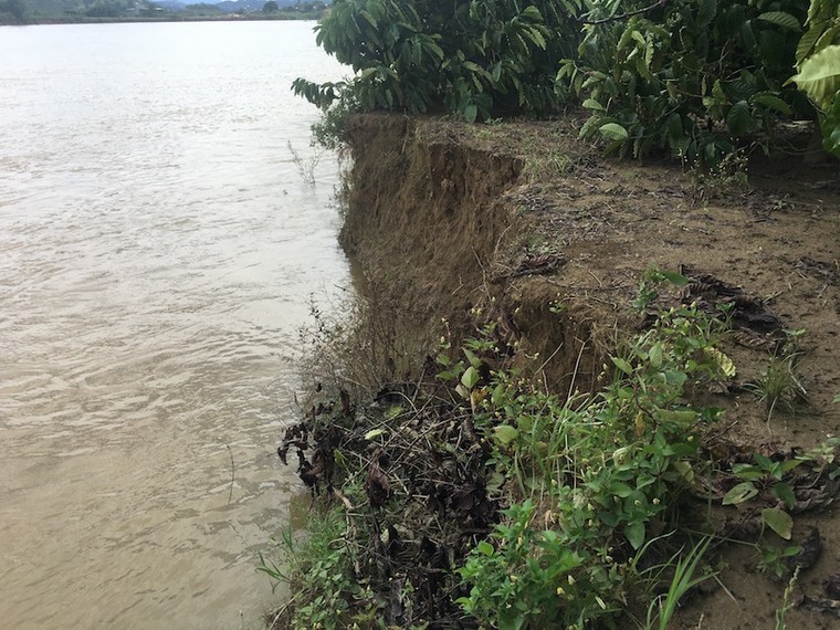 Đắk Nông: Người dân bất lực nhìn cây trồng bị dòng sông nuốt dần ảnh 2