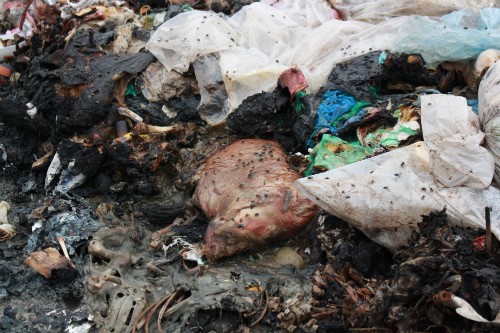 Hà Nội: Người dân khổ sở sống chung với rác ảnh 4