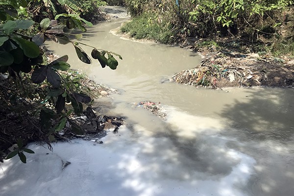 Mùi hôi thối tố công ty giấy xả thải trộm ra suối ảnh 1