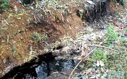 Thừa Thiên - Huế: Suối Cầu Đôi đổi màu đen bất thường, do đâu? ảnh 2