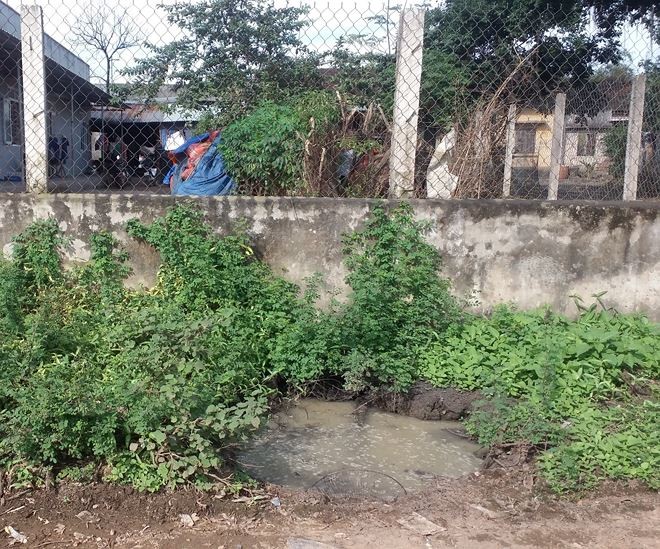 Ô nhiễm trầm trọng ở làng nghề bún tươi Ngãi Chánh ảnh 1