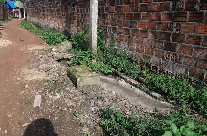 Ô nhiễm trầm trọng ở làng nghề bún tươi Ngãi Chánh ảnh 2