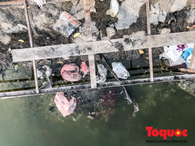 Hà Nội: Hồ Văn Quán ô nhiễm nghiêm trọng những ngày giáp Tết ảnh 4