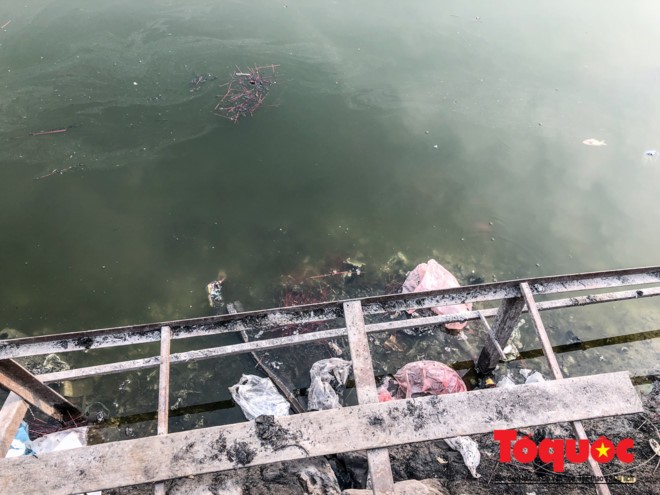 Hà Nội: Hồ Văn Quán ô nhiễm nghiêm trọng những ngày giáp Tết ảnh 7